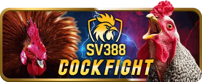 Chương trình VIP độc quyền vz99
